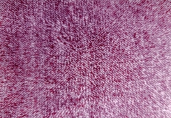 ���� ����������  180*220 ������