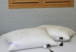 ������� � �������� ������������