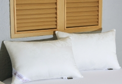 ������� � �������� ������������