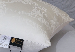 ������� � �������� ������������